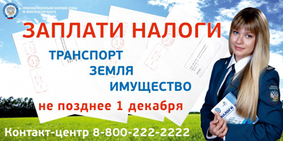 Платить налоги легко!