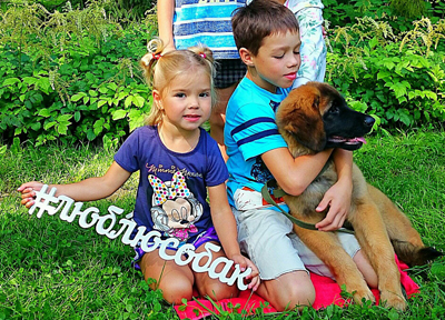  Люблю собак!