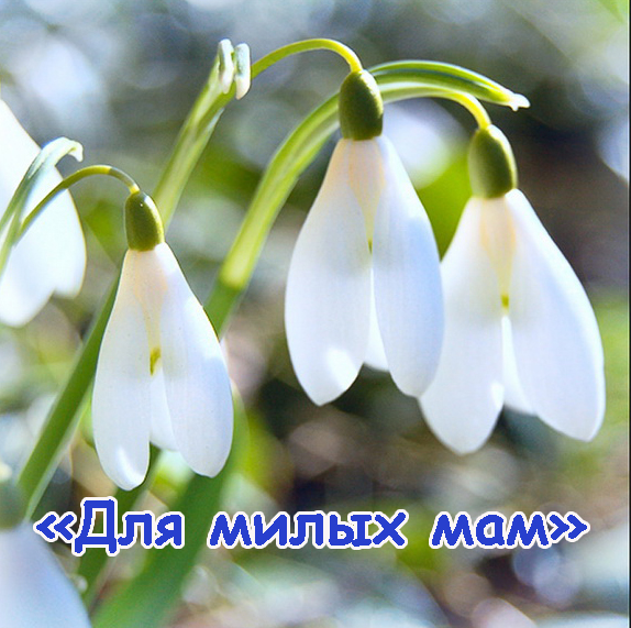 Концерт "Для милых мам"