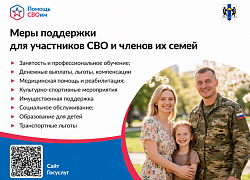 Подтвердить статус участника СВО можно через портал Госуслуг. 
