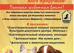 Поможем животным вместе!