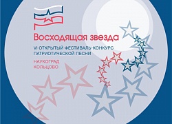 Итоги VI фестиваля-конкурса «Восходящая звезда»