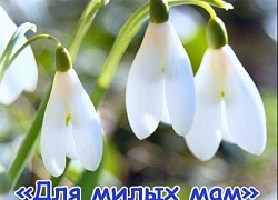 Концерт "Для милых мам"