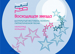 Итоги VIII Заочного открытого конкурса патриотической песни «Восходящая звезда» 